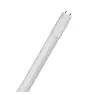 Ledvance LED Buis T8 Superior (EM/Mains) Ultra Output 22.1W 4100lm - 840 Koel Wit | 150cm - Vervangt 58W - Hoog Plafond